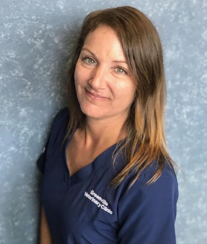 Experienced Veterinarians Greenville PA animal hospital